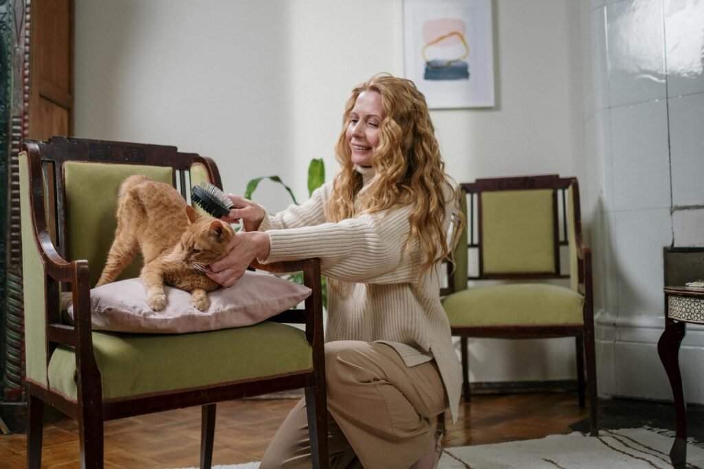 Comment brosser et entretenir le pelage de son chien à la maison