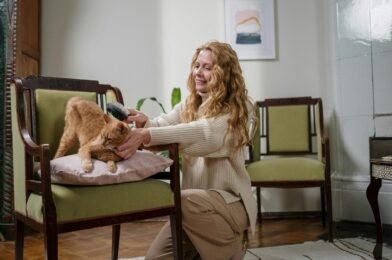 Comment brosser et entretenir le pelage de son chien à la maison