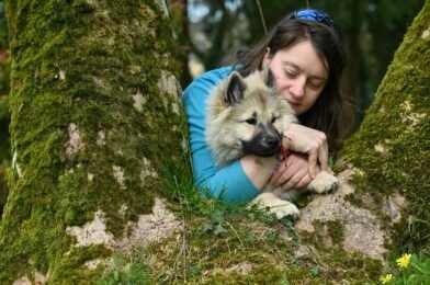 Comment choisir son premier chien selon son mode de vie