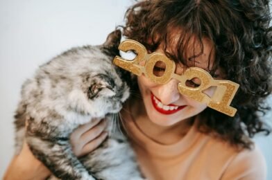 Comment habituer son chat à un nouvel appartement sans stress