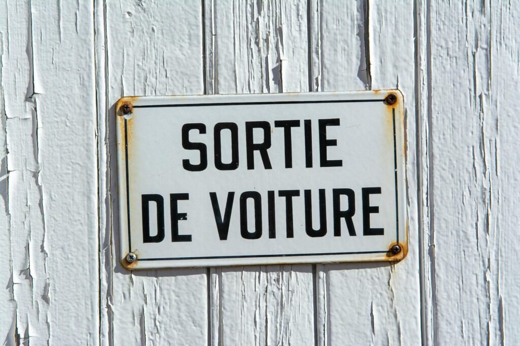 Comment voyager en voiture avec son chien sereinement