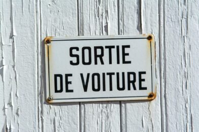 Comment voyager en voiture avec son chien sereinement
