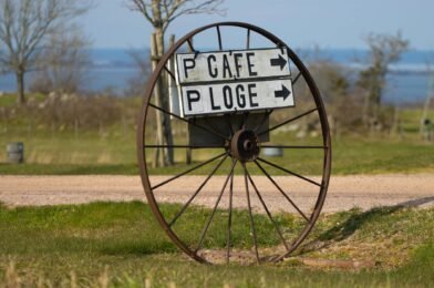 Que faire quand on part en vacances avec ses animaux de compagnie